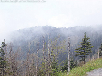 gatlinburg-tn-smoky-mountains.jpg