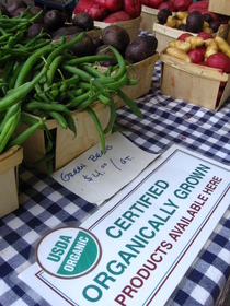 organically-grown-vegetables-by-smikulen.jpg