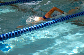 swim-technique-by-cellphonesusie.jpg