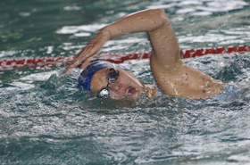 swimming-by-mco4684.jpg