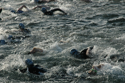 swimming-in-rough-waters-by-cygnus921.jpg