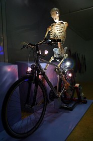 skeleton-on-a-bike-by-adobemac.jpg