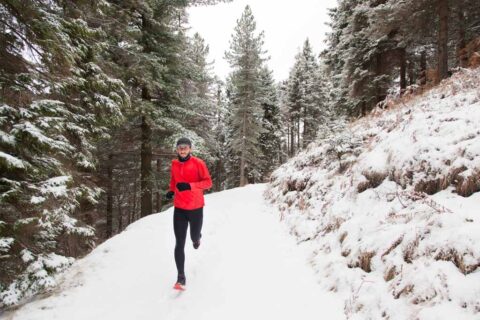 Marathon Training For Triathletes In The Off-Season